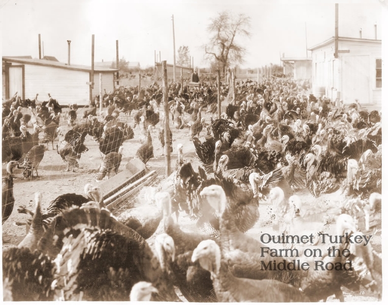 ouimet-turkey-farm-middle-rd-swanton